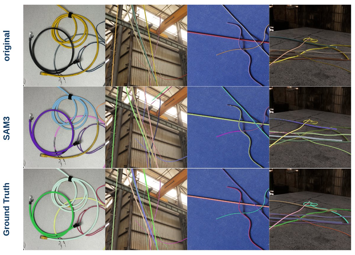 Segmentation results from DeformX-generated training data